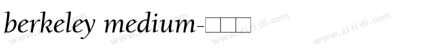 berkeley medium字体转换